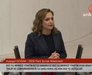 DEM Parti Milletvekili Doğan: İletişim Başkanlığı Algı Yönetimini İktidar Lehine Yapıyor