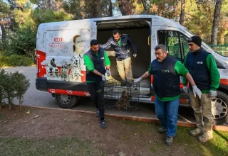 Ele Geçirilen 3 Maymun Yavrusuna Yeni Yuva