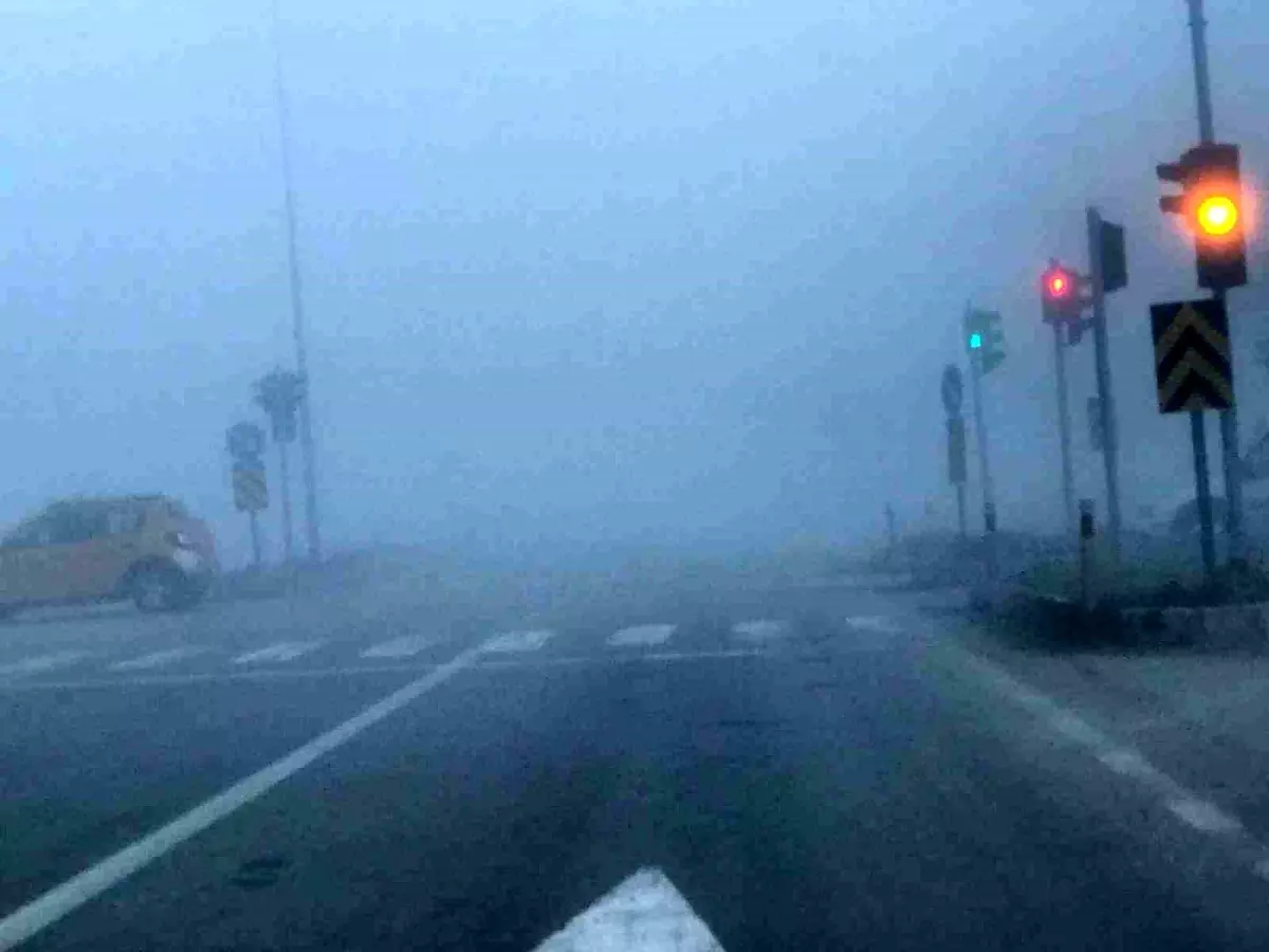 Ereğli’de Yoğun Sis Hayatı Olumsuz Etkiliyor