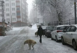 Erzurum’un Tekman İlçesi Türkiye’nin En Soğuk Yeri Oldu