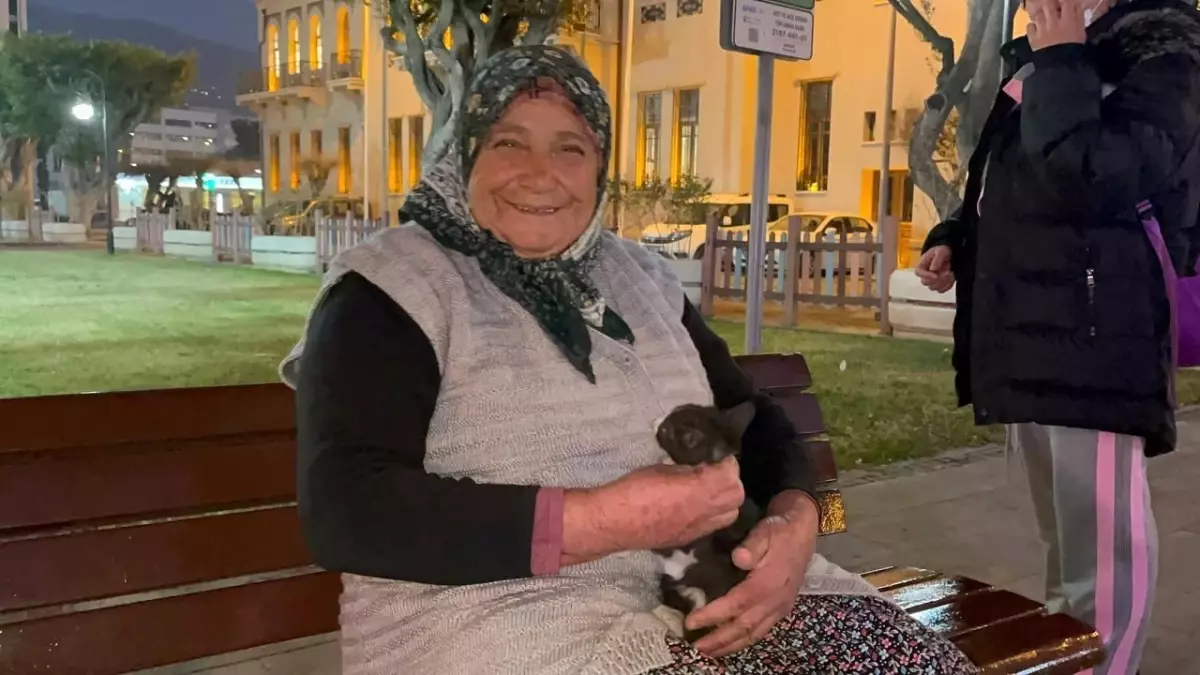 Hatay’da Soğuk Havada Yavru Kediyi Kurtaran Kadının Hikayesi