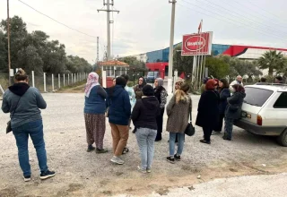 İncirliova’da İflas Şoku: Günaydınlar İncir İşletmesi Kapılarına Alacaklılar Dayandı