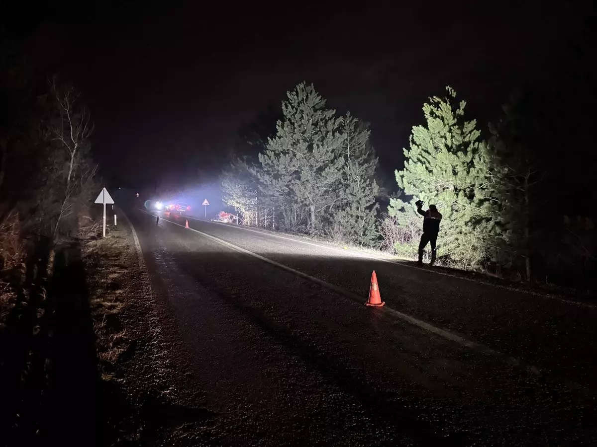 Kastamonu’da Çam Ağaçlarına Çarpan Araçta 1 Ölü, 1 Yaralı