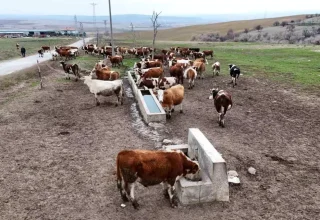 Kırıkkale’de Aile İşletmesi Devlet Destekleriyle Büyüyor