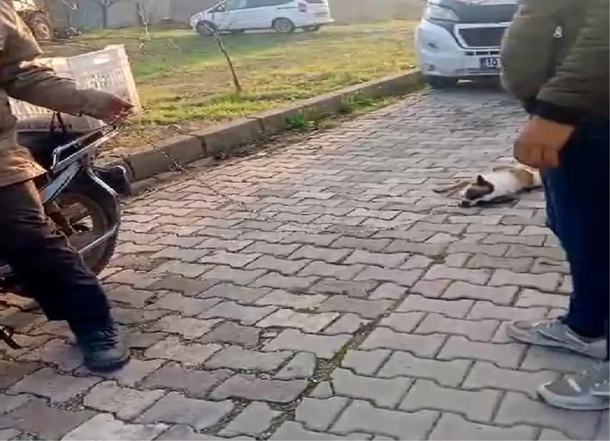 Köpeğini Motosiklete Bağlayan Kişiye Cezai İşlem