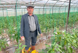 Kumluca’da Sağanak Yağış Sonucu Su Baskını