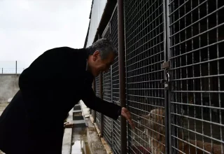 Mamak Belediyesi’nden Sokak Hayvanlarına Yeni Rehabilitasyon Merkezi