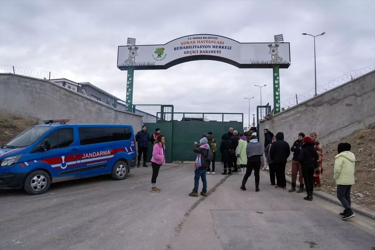 Mamak’ta Hayvan Katliamı İddiaları Üzerine Protesto