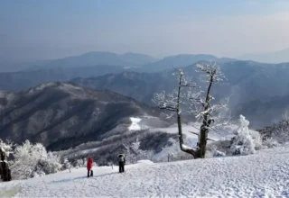 Manisa okullar tatil mi 25 Aralık Çarşamba (Son Dakika Manisa Valiliği)?