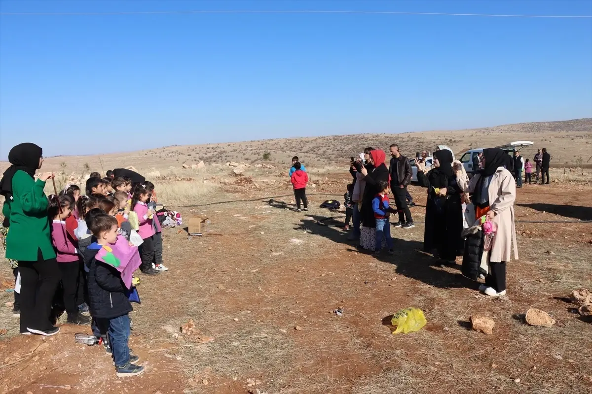 Mardin’de ‘Fidan Kardeşim’ Projesi ile 100 Fidan Toprakla Buluştu