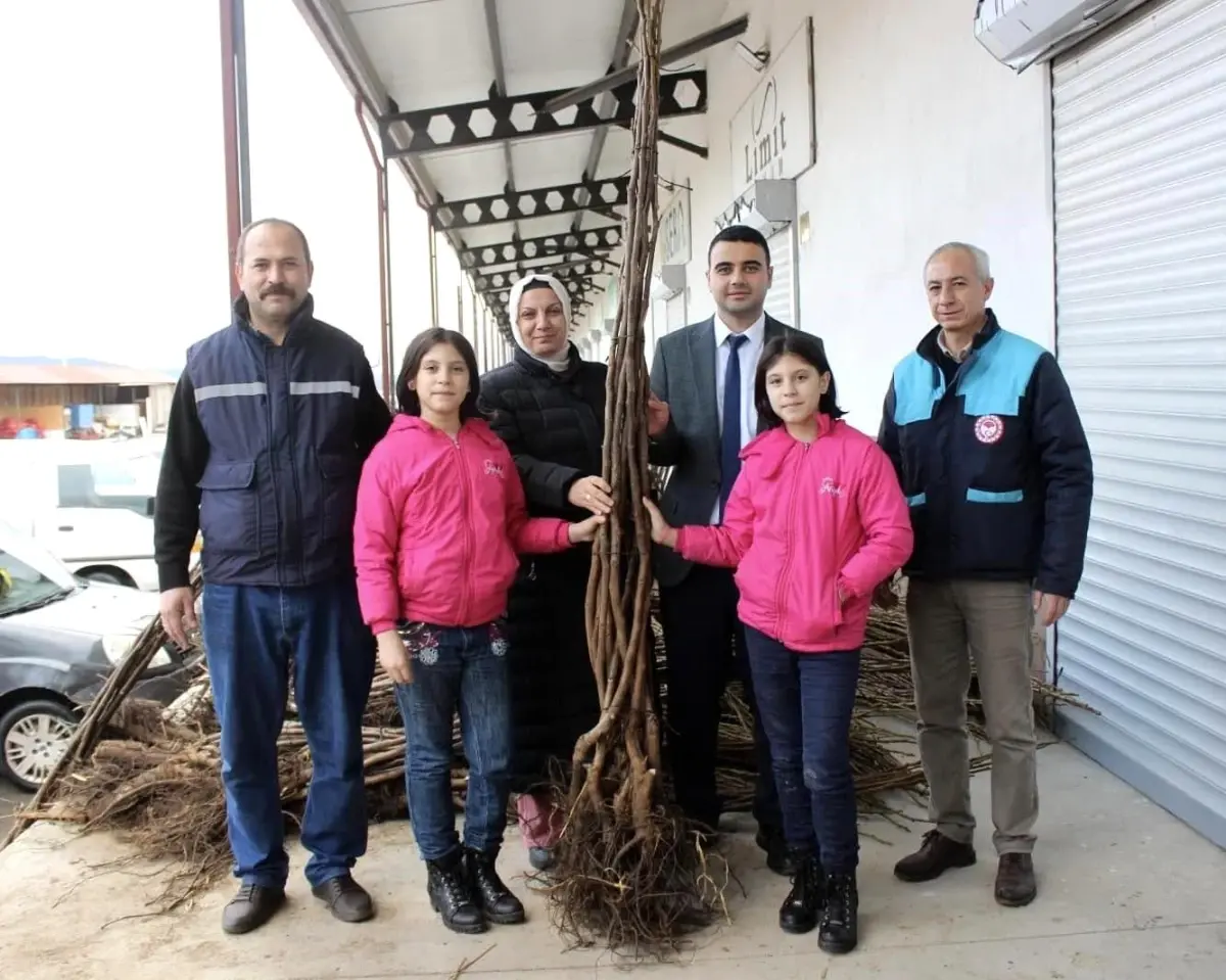 Osmaneli’de Çiftçilere Yüzde 50 Destekli Ceviz ve Badem Fidanı Dağıtıldı