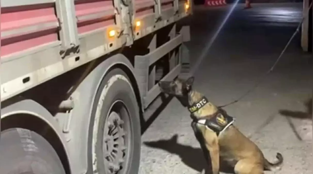 Osmaniye’de 21 Kilo Skunk Maddesi Ele Geçirildi