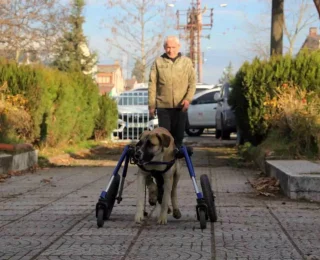 Oto Tamircisi, Kaza Geçiren Köpeğine Tekerlekli Yürüteç Yaptırdı