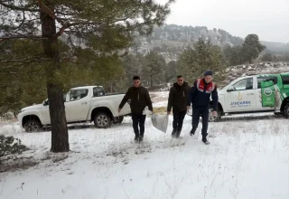 Sarıkamış’ta Yaban Hayvanları için Yemleme Çalışması