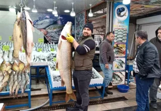 Siirt’te Yakalanan Dev Turna Balığı Batman’da Tezgahta