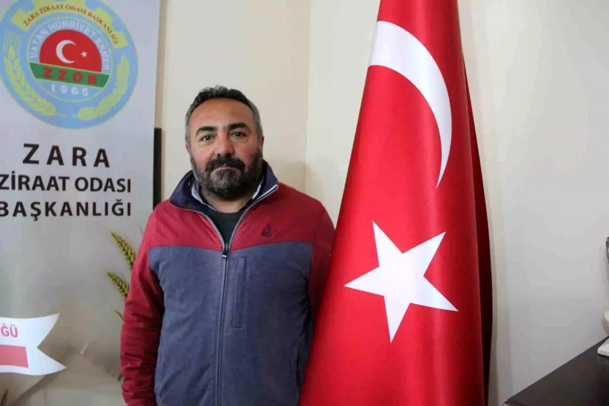 Sivas’ta Ayı Saldırısı: Eski Muhtar Hayatını Kaybetti