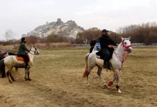 Van’daki At Çiftliği Yaz Kış Yoğun İlgi Görüyor