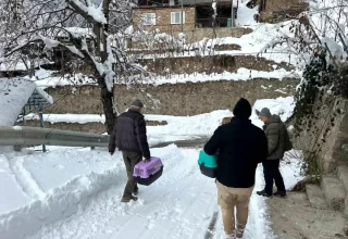 Yusufeli’nde Karla Mahsur Kalan Kediler Kurtarıldı