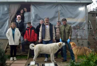 Ayvalık’ta Gönüllüler Sokak Hayvanları İçin Besleme Projesi Başlattı