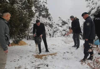 Çorum’da Yaban Hayvanları İçin Yemleme Çalışması