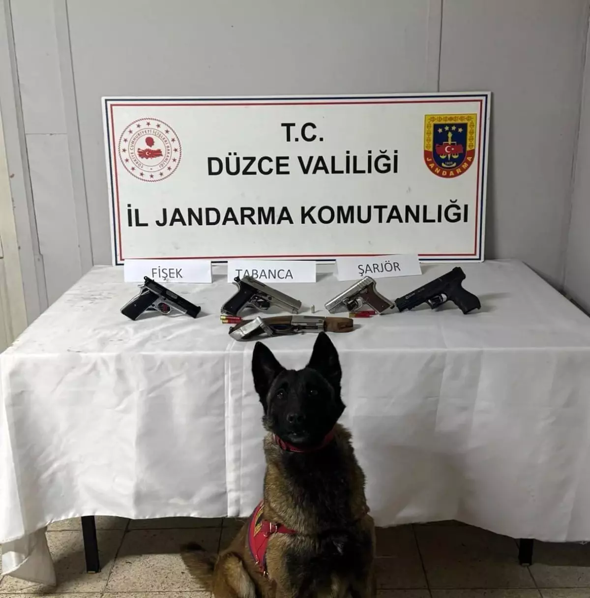 Düzce’de Jandarma Operasyonu: Ruhsatsız Silahlar Ele Geçirildi