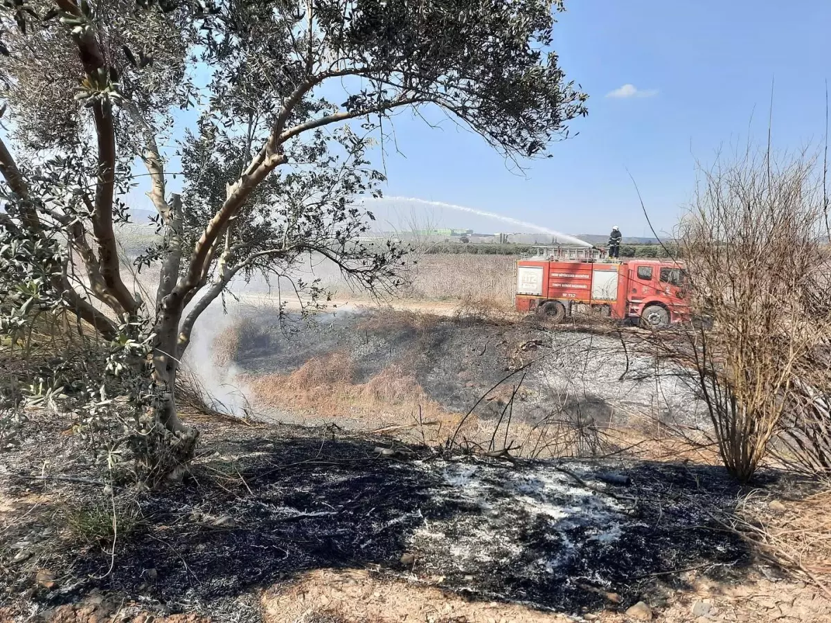 Erzin’de Sazlık Alanda Yangın Şansı ile Kontrol Altına Alındı