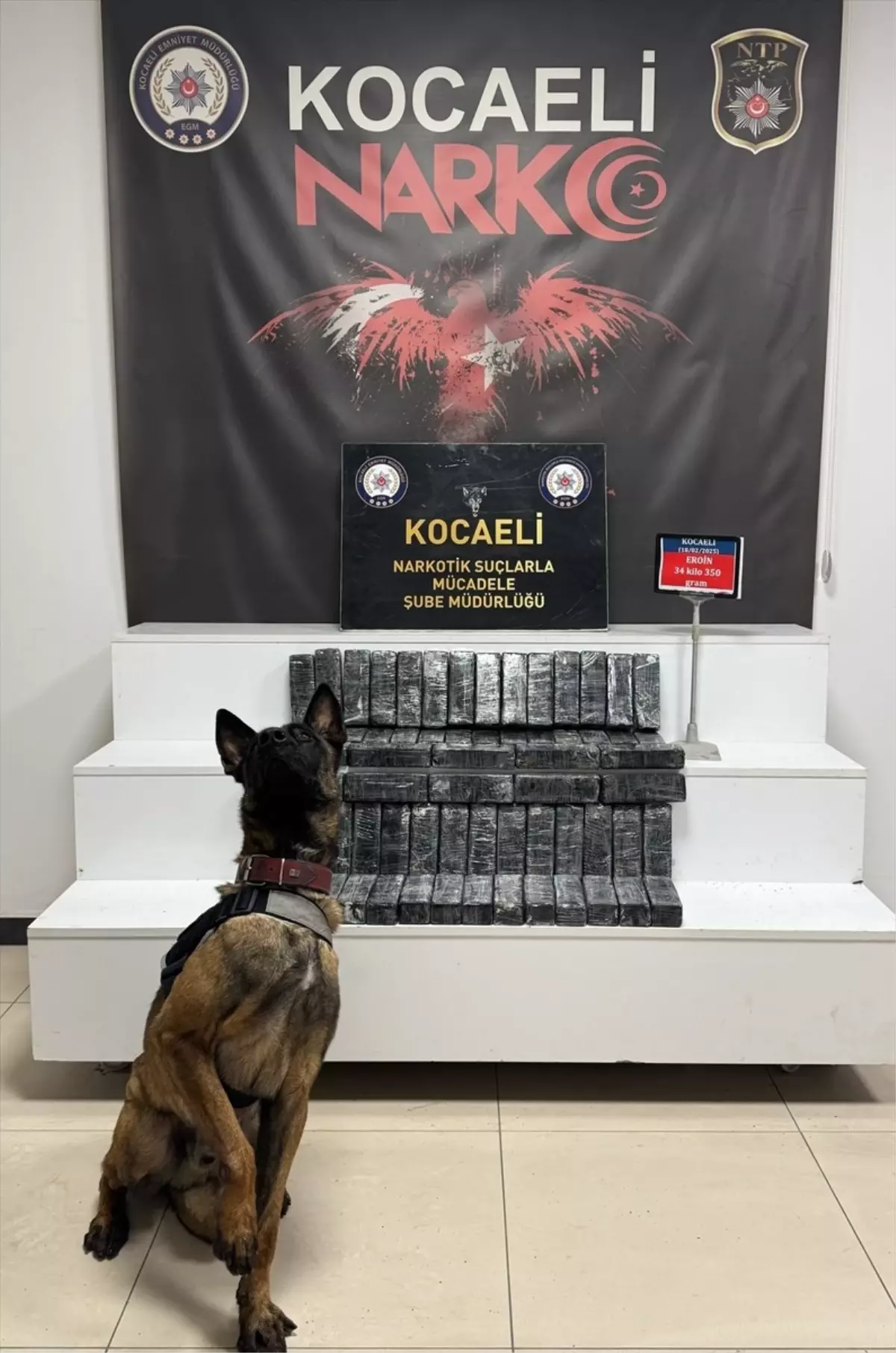Kocaeli’de Cipte 34 Kilo Eroin Ele Geçirildi, 1 Tutuklama