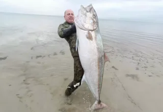 Zıpkınla 1.8 metre boyunda akya balığı avladı