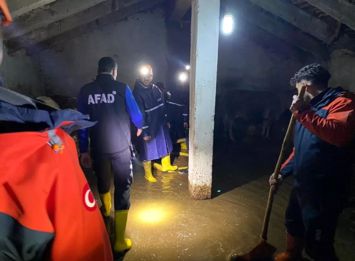 Ağrı’da Kar Erimesi Nedeniyle Su Baskını: 16 Konut ve 8 Ağıl Su Altında Kaldı