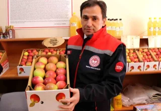 Amasya Misket Elması ve Çiçek Bamyası AB Tescili İçin Başvuruda Bulundu