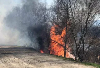 Amasya’da Yangın: Yeşilırmak Nehri Kıyısındaki Sazlık Alanında Alevler Kontrol Altına Alındı