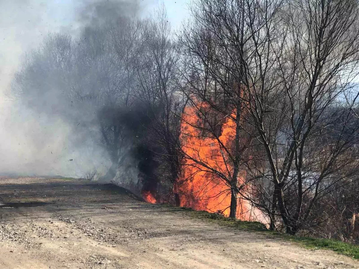 Amasya’da Yangın: Yeşilırmak Nehri Kıyısındaki Sazlık Alanında Alevler Kontrol Altına Alındı