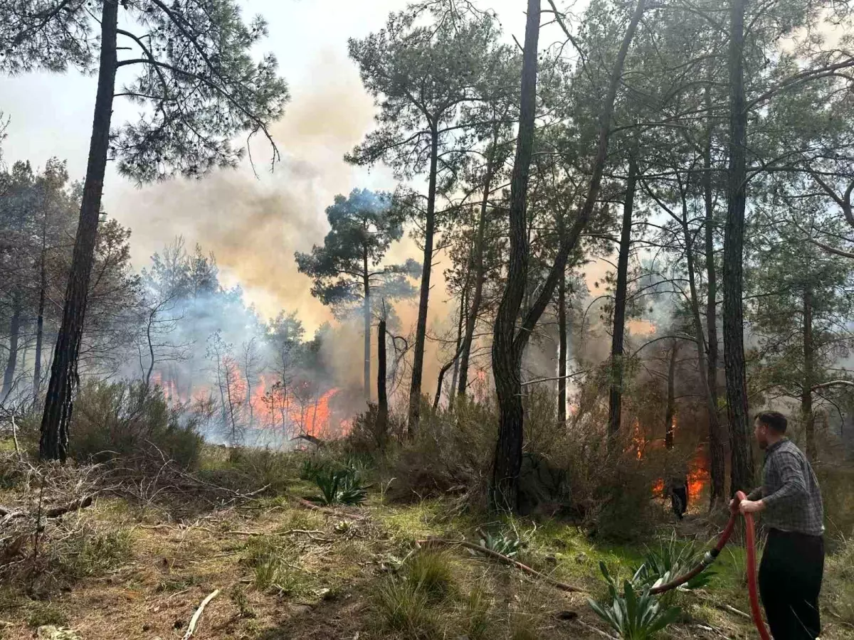 Antalya Kemer’de Orman Yangını Çıktı