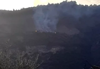 Aydın’da Orman Yangını, Hızlı Müdahale ile Kontrol Altına Alındı