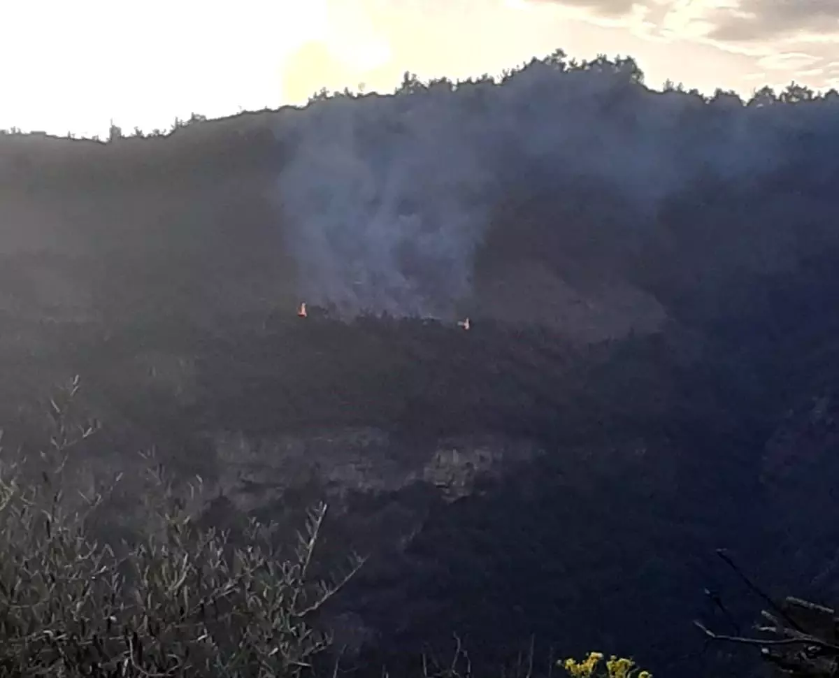 Aydın’da Orman Yangını, Hızlı Müdahale ile Kontrol Altına Alındı