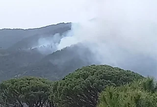 Aydın’da Orman Yangınına Müdahale Başladı