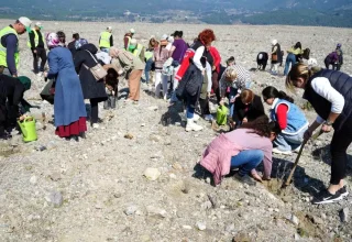 Balıkesir’de Aile Yılı Etkinliği Kapsamında Lavanta Fidanı Dikimi