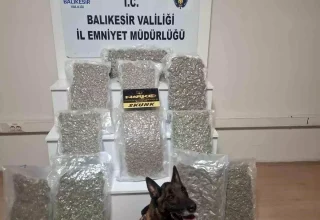 Balıkesir’de Uyuşturucu Operasyonu: 12 Kilogram Esrar Ele Geçirildi