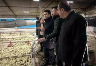 Bilecik’te Tavuk Çiftliğinde Yangın, Facia Önlenildi