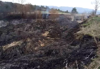 Bolu’da Kuru Ot Yangını Büyüdü, İtfaiye Müdahale Etti