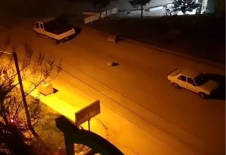 Elazığ’da Başıboş Köpeklerin Saldırısına Uğrayan Çocuğun Korku Dolu Anları Kamerada