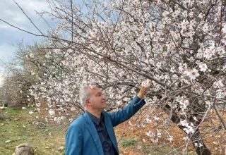 Gaziantep’in Araban İlçesinde Bahar Coşkusu