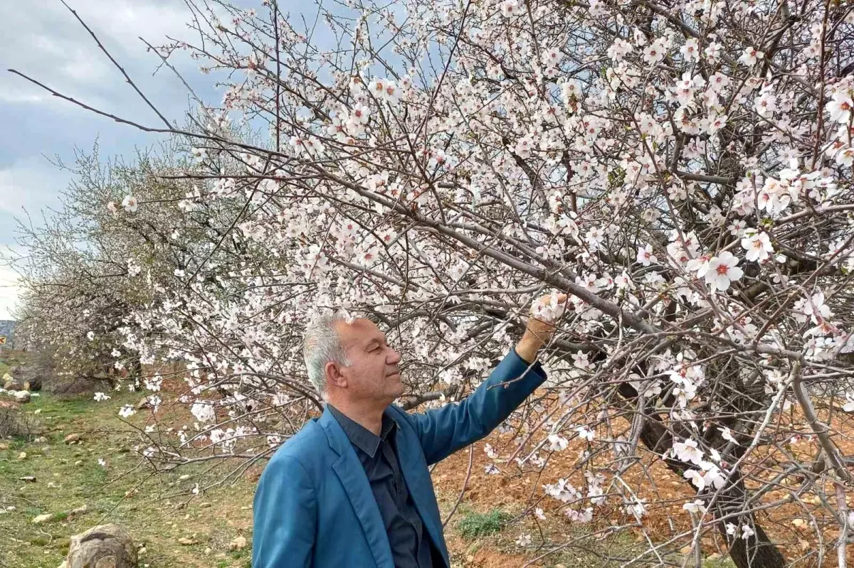 Gaziantep’in Araban İlçesinde Bahar Coşkusu