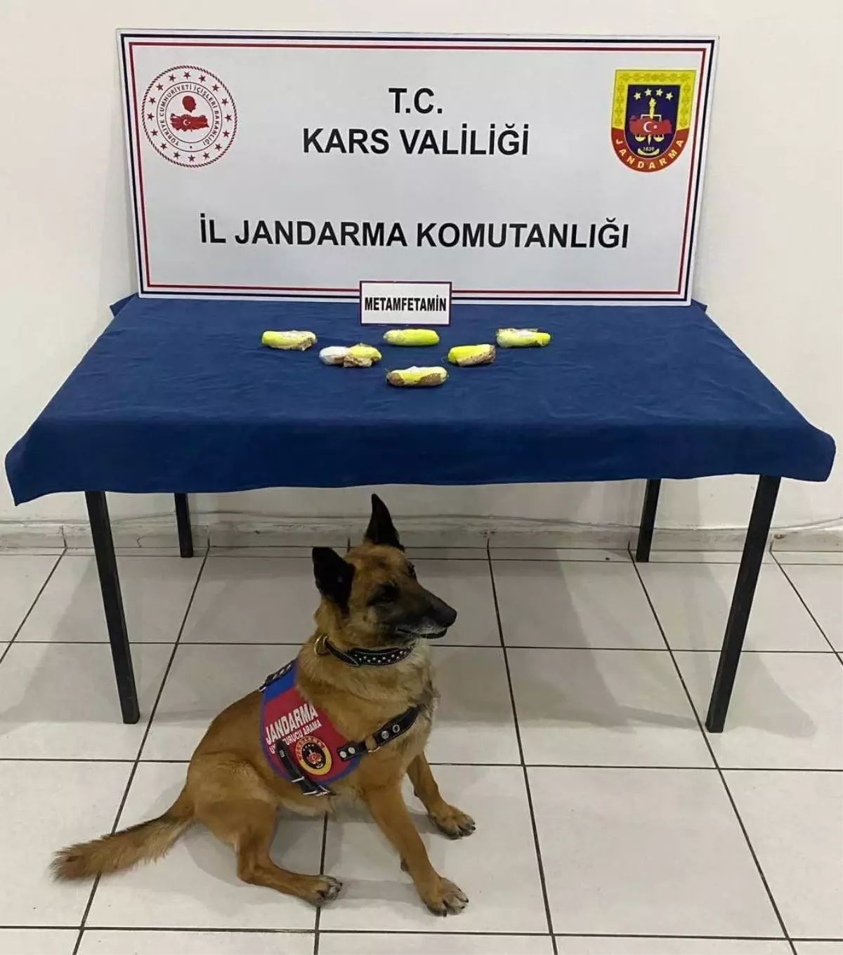 Kars’ta Uyuşturucu Operasyonu: İki İranlı Tutuklandı