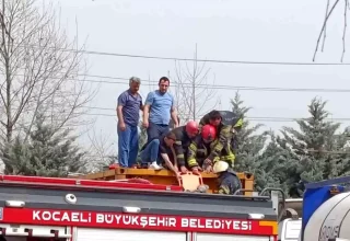 Kocaeli’de Tır Tankına Düşen İşçi Ağır Yaralandı