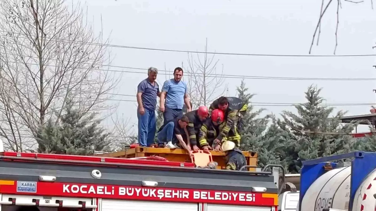 Kocaeli’de Tır Tankına Düşen İşçi Ağır Yaralandı