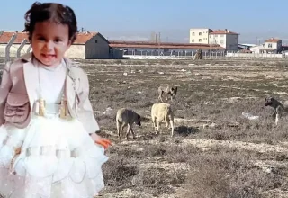 Köpek saldırısında ölen Rana’nın Adli Tıp raporu çıktı