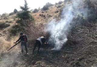 Mardin’de Çıkan Ot Yangını Kontrol Altına Alındı