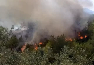 Osmaniye’de Orman Yangını Sürekli Mücadele Altında