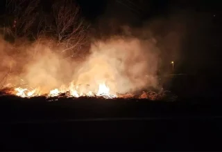 Sakarya’da Orman Yangını Kontrol Altına Alındı